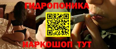 прущий лед Будённовск